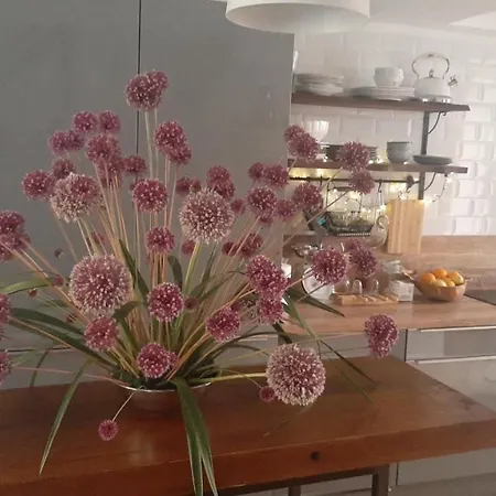 Casa 39 Appartement *